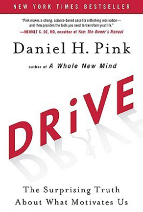 Drive: The Surprising Truth About What Motivates Us